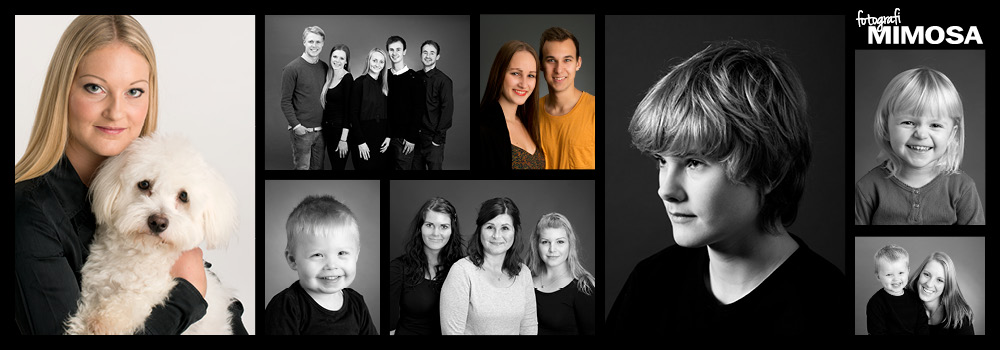 Fotografi mimosa top 1000x350 2